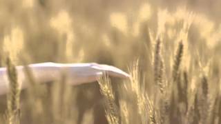 우리밀 하늘편 10차 20100801