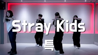 강변댄스학원 | 샤샤T | Stray Kids(스트레이 키즈) - 특(S-Class)