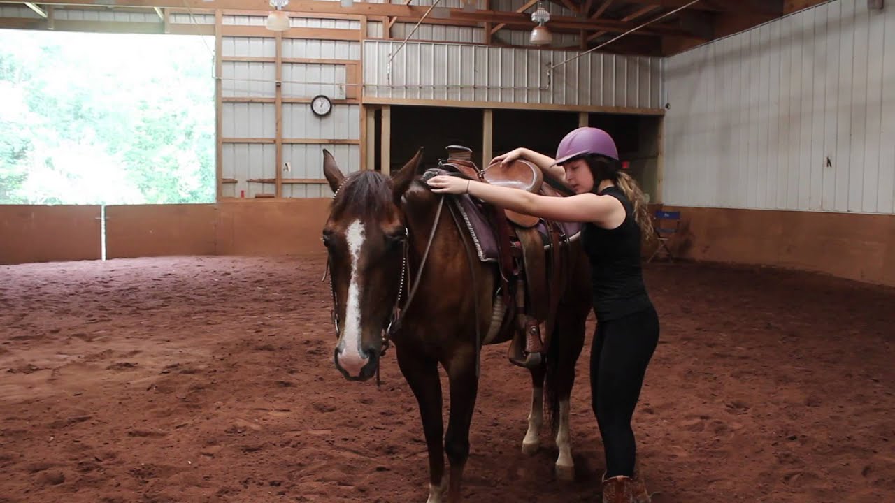 How to mount your horse from the ground YouTube