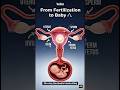 Fertilization to Baby Development 🤰# shots.