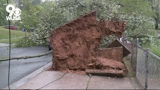 Strong winds, severe thunderstorms bring down trees and powerlines in the region