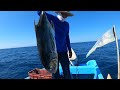 QUE BUENA PESCA DE JUREL con cuerda mano para la fritanga