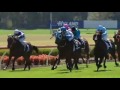 Elite thoroughbreds promo