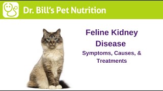 Feline Kidney Disease | Symptoms, Causes, & Treatments | Dr. Bill's Pet Nutrition | The Vet Is In
