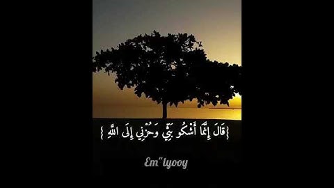 { قال إنما أشكو بثي وحزني إلى الله } القارئ : فارس عباد