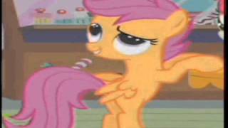 ponies.mp4