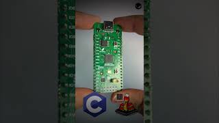 Shrike-lite having both MCU+ FPGA opening endless possibilities to create and learn.