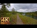 4K Virtual Hike with Calming Music | Walking in the Woods (3 hours video) - Part 4