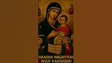 Orthodox Mezmur Ethiopia Shortvideo Youtubeshorts 