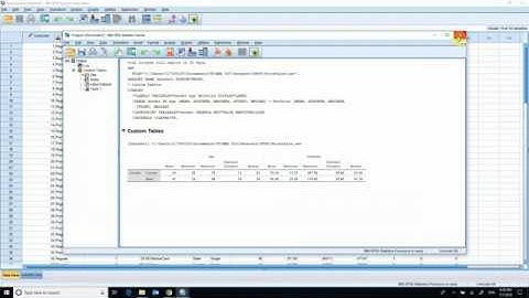 SPSS - Custom Tables