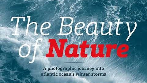 Schnebel Slab Font Download