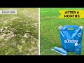 Long-term Review for Sunday Lawn Care: Should You Switch?