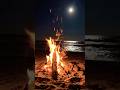 🔥 Campfire on the Beach Under the Moonlight | Relaxing Fire & Ocean Ambience