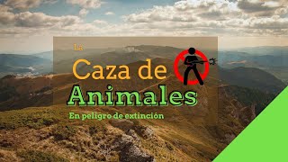 ¿Cómo afecta la caza furtiva?