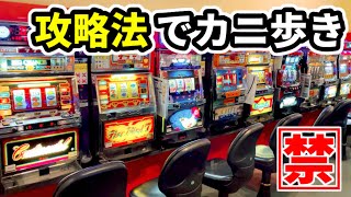 全5台】レトロパチスロを禁断の攻略法でカニ歩き《1.2.3号機スロット