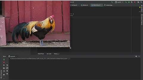 KT - Image Processing in Kotlin with Amanda Hinchman-Dominguez: Part 1