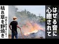 【新米農家の野焼き】枯れ草と竹のはぜる音に癒されて