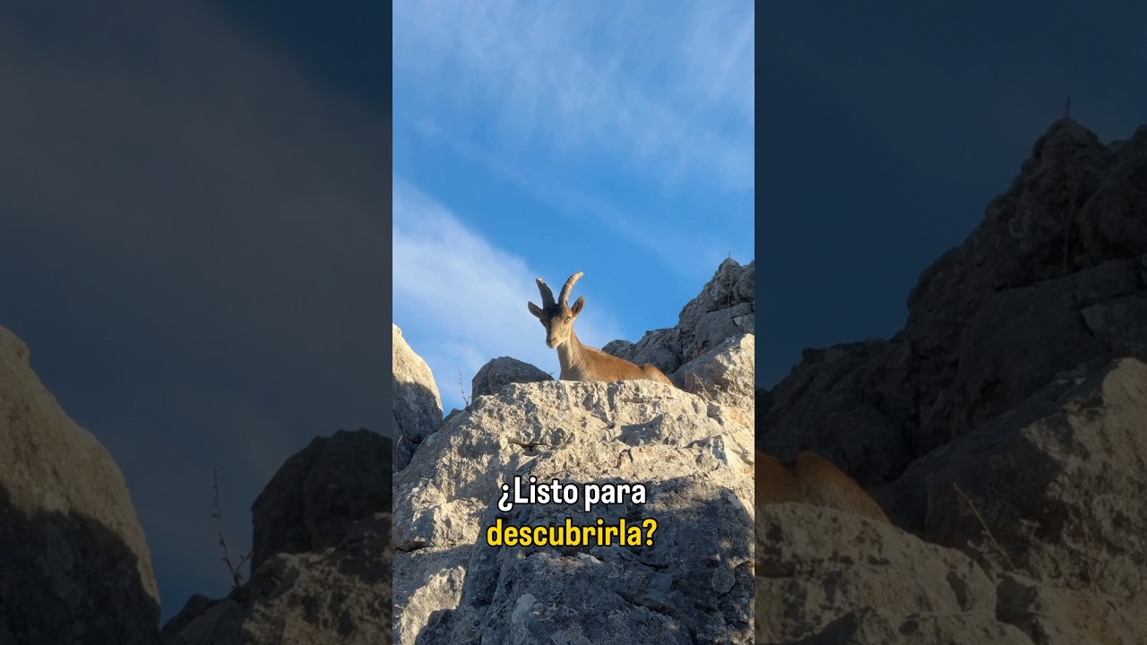 Antequera ⛰️ Descubre esta joya de Málaga