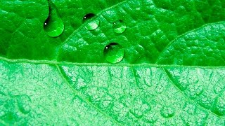 how to make water drop in adobe photoshop screenshot 1