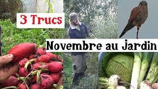 3 Trucs à faire en Novembre au Jardin