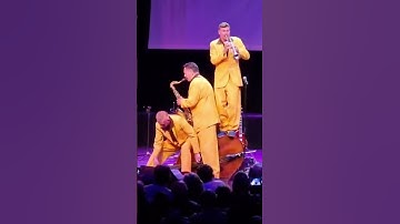 Thumbnail of Caldonia - live from Harrow Arts (Louis Jordan cover)