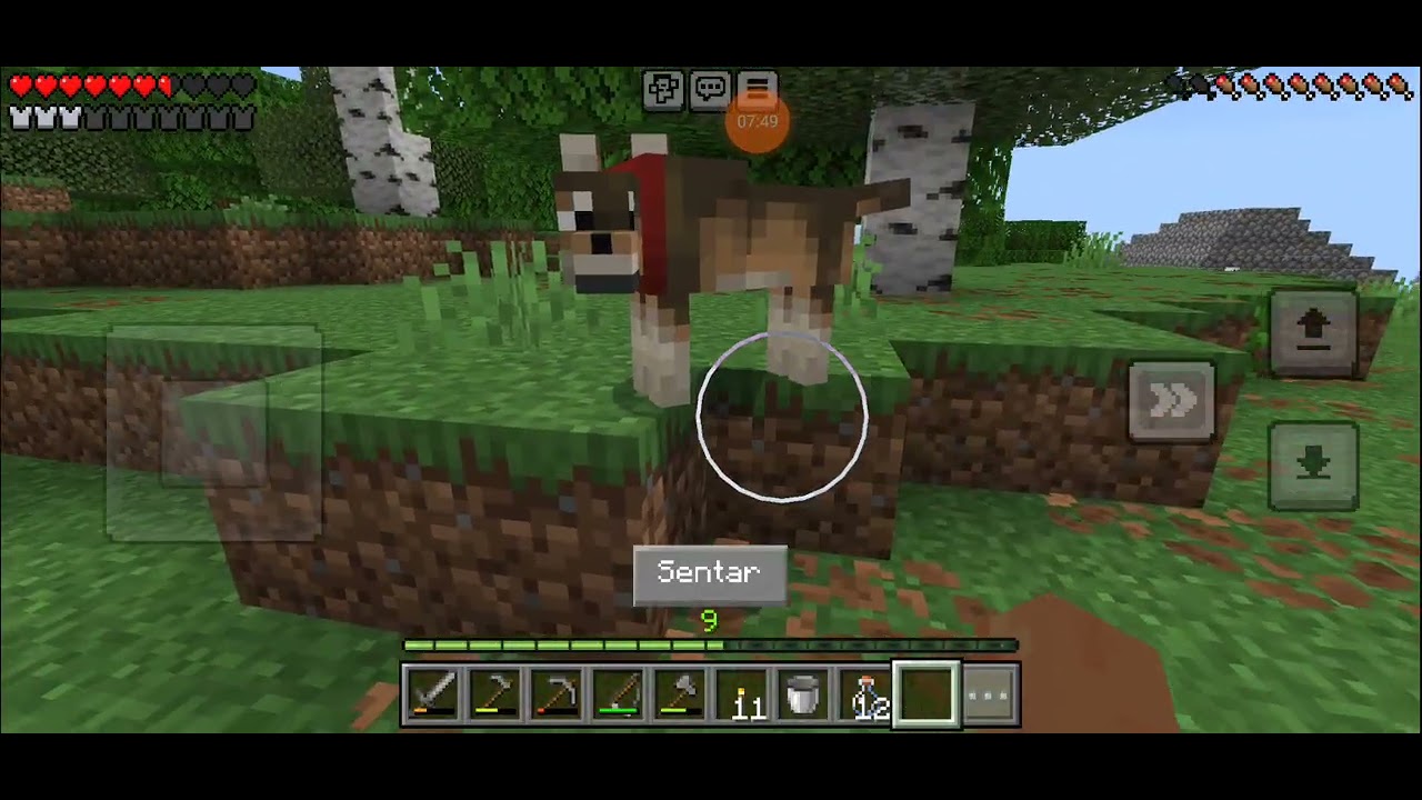 Minecraft parque 15 (domestiquei o cachorro, que sorte!)
