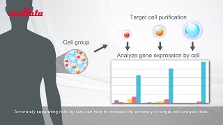 CELLNETTA Application Example  Pre-processing for Single-cell Analysis
