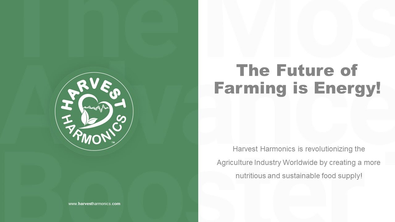 Crop Booster Overview How biophysics can increase energy production in plants. YouTube