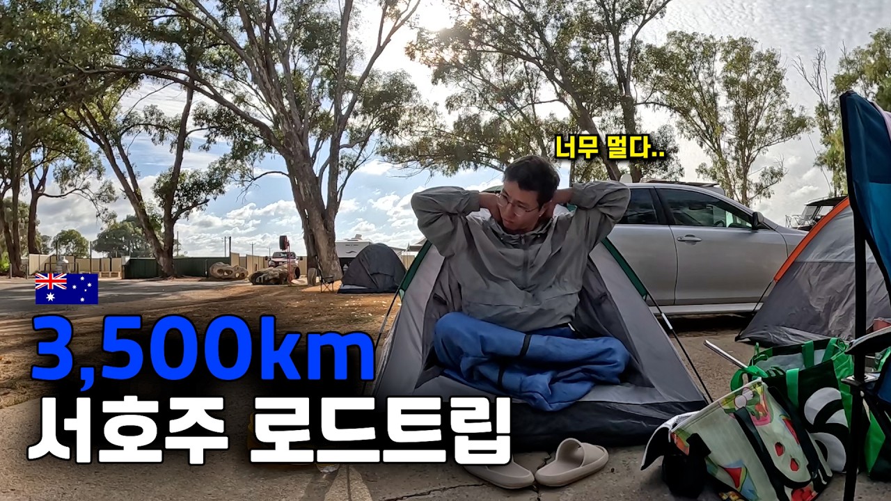 호주 최고의 로드트립 코스를 향한 11일간의 여정 - 호주 워홀 🇦🇺[83]