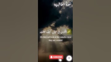 اكتب شيء تؤجر عليه 🤍 🤲🏻 #quran #اسلام #قرآن #راحة_نفسية #سورة_الغاشية