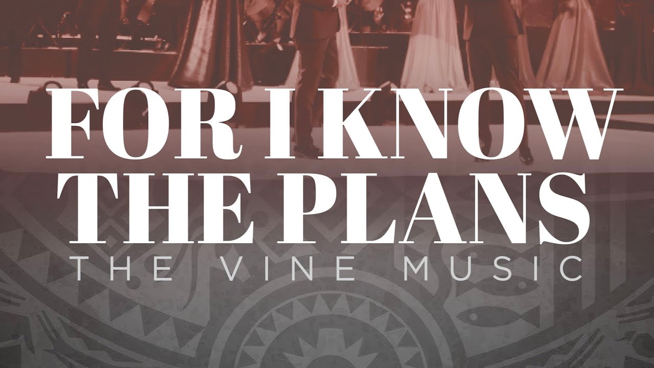The Vine - I know the plans