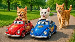 Celebrity 🔴Kitten's Adventure Live: Mama Cat Trims Fur on the Farm and Makes Tiger Hat For Kittens At Home🐾🎩🐯 Wealth