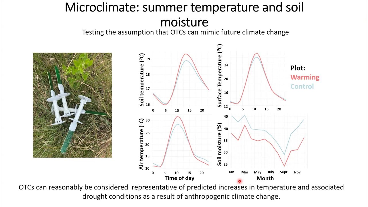 Fire management and climate change in temperate montane grassland ...