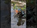 Survival Skills: Useful and Clever #outdoors #survival #campfire #bushcraft