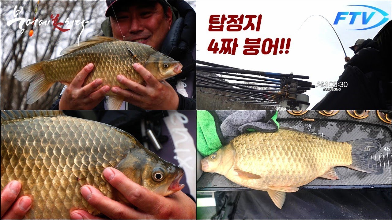 [221화] 탑정지 4짜 붕어를 만나다!! 봄 시즌 붕어낚시!! - FTV 붕어에미치다