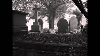 Tail of the Devil- Book Trailer- Danielle DeVor