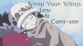 Wrap Your Wings || Trafalgar Law & Donquixote Rosinante