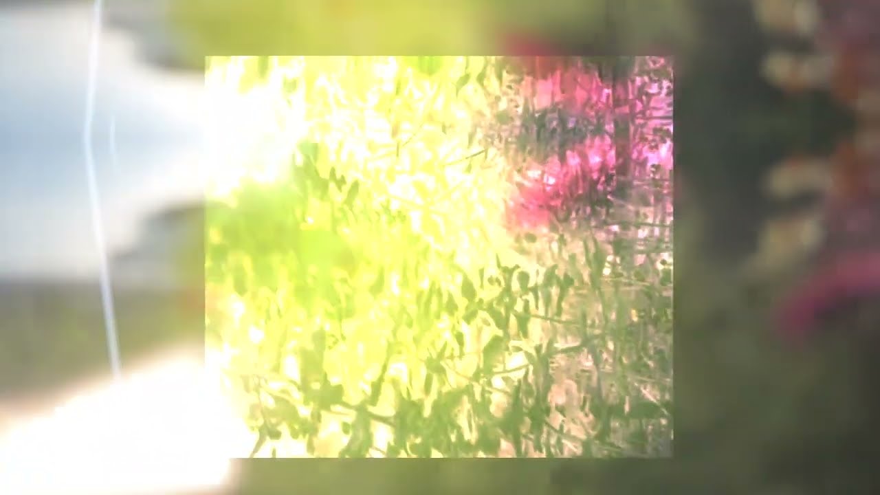 Watch Phantom Wave - Woozy (Official Video) on YouTube Watch Phantom Wave - Woozy (Official Video) on YouTube