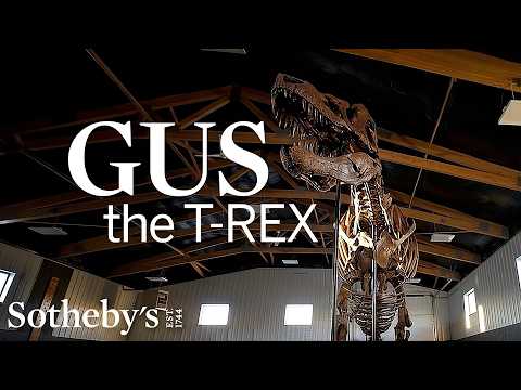 Meet “Gus”: The 40 Foot Long T-Rex Skeleton Exhibited for the First Time at Sotheby’s Breuer thumbnail