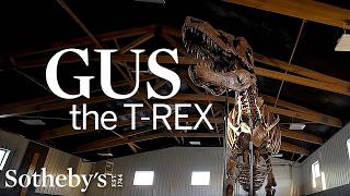 Meet “Gus”: The 40 Foot Long T-Rex Skeleton Exhibited for the First Time at Sotheby’s Breuer