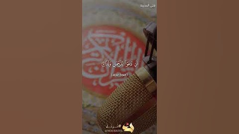 وقالوا اتخذ الرحمن ولدا - القارئ فتى المدينة