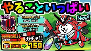 【半額リセット早すぎる】8月ずっと統率力半減＆リターン！ねこのなつやすみリバイバル 2026 & アサルトザリガニネコ 性能紹介　【にゃんこ大戦争】