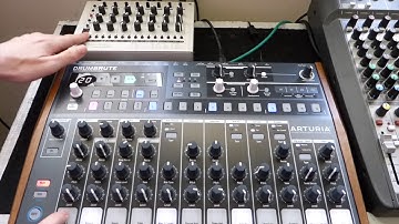 Arturia Drumbrute VS MFB Tanzmaus