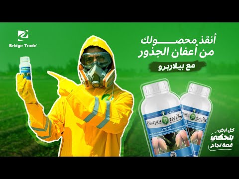 احمي محصولك من أعفان الجذور مع بيلاربرو