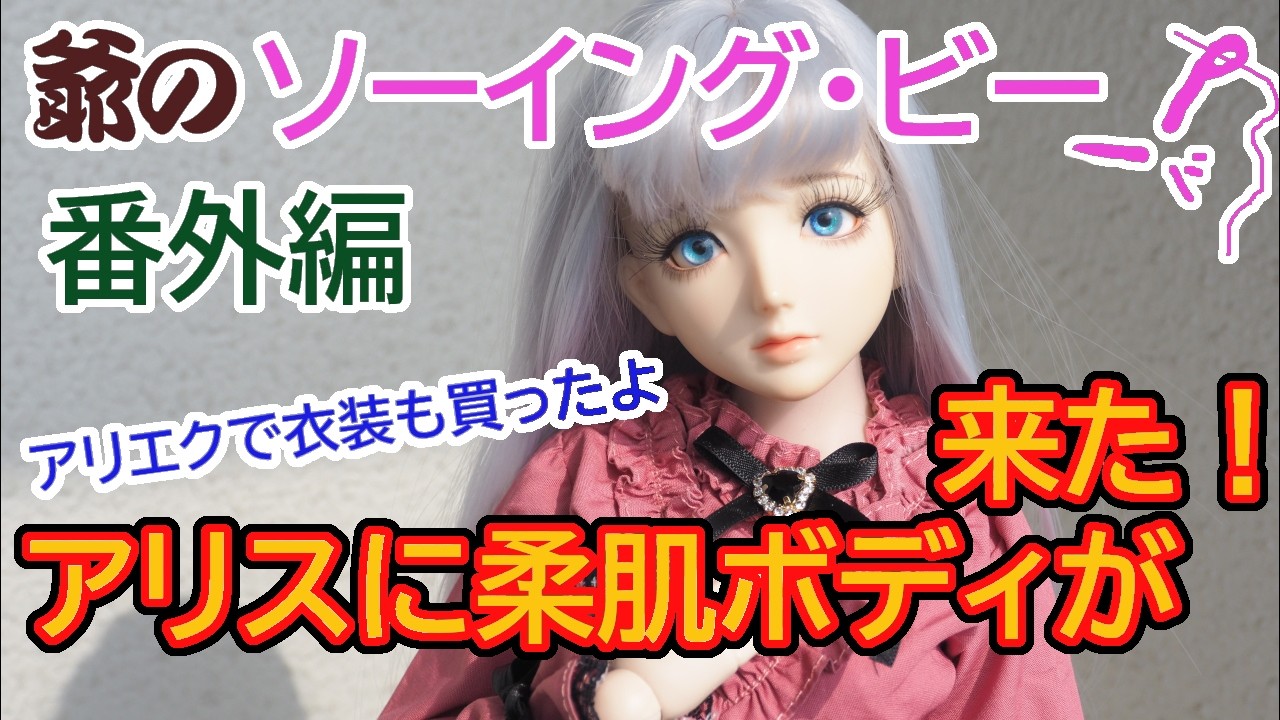 【Alice01 】アリスに柔肌ボディが来た！【アリエクで衣装も買いました】