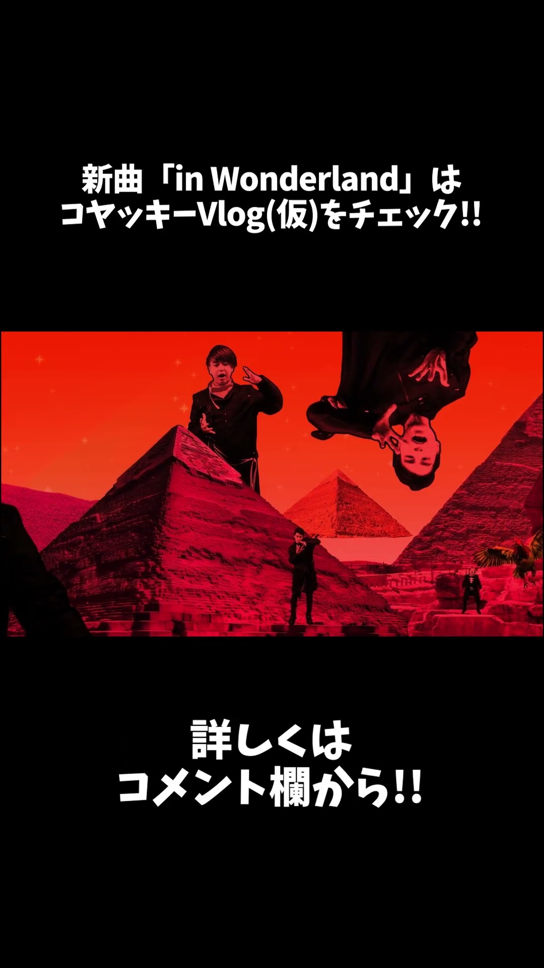 in Wonderland／THE SILENT DOG【MV】