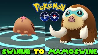 Evolving Swinub To Mamoswine In Pokemon Go - Swinub Community Day
