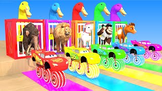 5 Giant Duck, Cow, Elephant, Tiger, Gorilla, Buffalo, Lion, Sheep, Transfiguration funny animal 2023