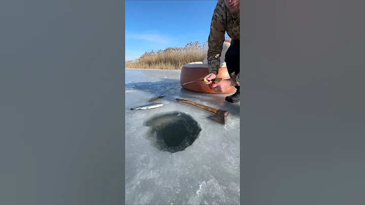 Amazing winter fishing #cooking #outdoorcooking #food #fishing #fish #food