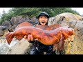 Greatest catch and cook of all time  alaska coastal foraging red lingcod and hot springs